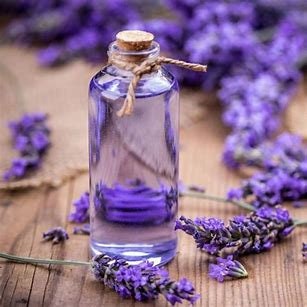 Wholesale/Private Label Lavender Oil or Water